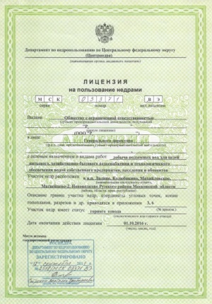 Содержание лицензии на пользование недрами