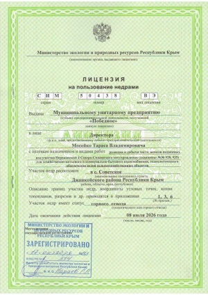 В. И. Кашин: Актуализация лицензий на пользование недрами как механизм эффективности недропользования