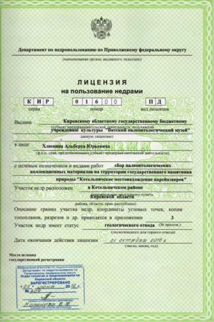Предлицензионная подготовка документации для получения лицензии на право пользования недрами и подземную воду